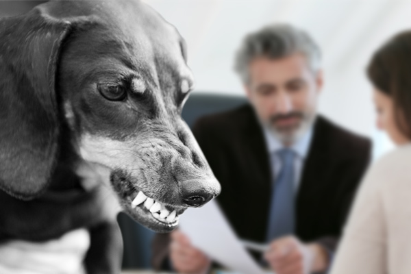 Dog attack attorneys in Houston