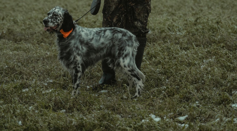 Skills Every Hunter Must Possess